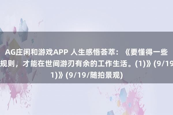 AG庄闲和游戏APP 人生感悟荟萃：《要懂得一些常见的社交规则，才能在世间游刃有余的工作生活。(1)》(9/19/随拍景观)