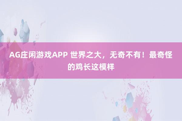 AG庄闲游戏APP 世界之大，无奇不有！最奇怪的鸡长这模样
