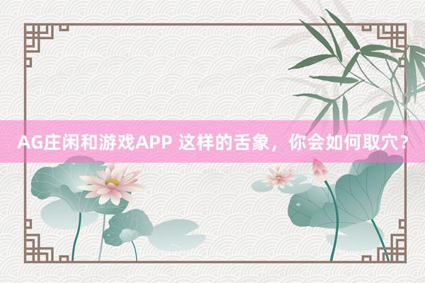 AG庄闲和游戏APP 这样的舌象，你会如何取穴？