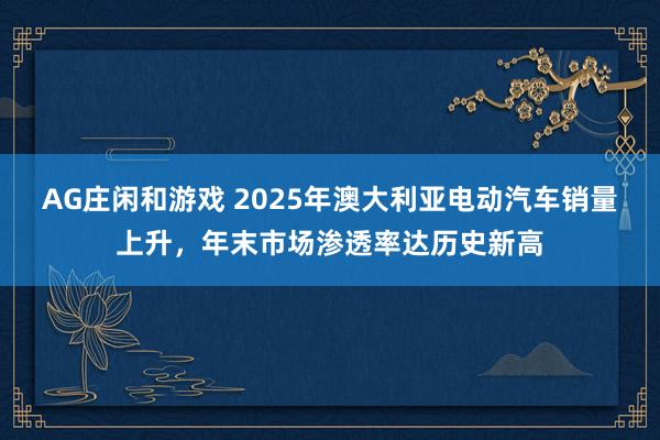 AG庄闲和游戏 2025年澳大利亚电动汽车销量上升，年末市场渗透率达历史新高