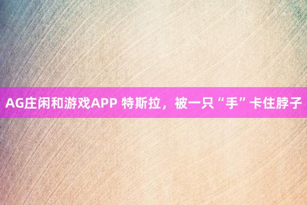 AG庄闲和游戏APP 特斯拉，被一只“手”卡住脖子