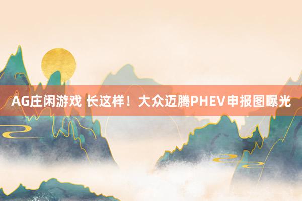 AG庄闲游戏 长这样！大众迈腾PHEV申报图曝光