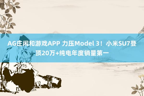 AG庄闲和游戏APP 力压Model 3！小米SU7登顶20万+纯电年度销量第一