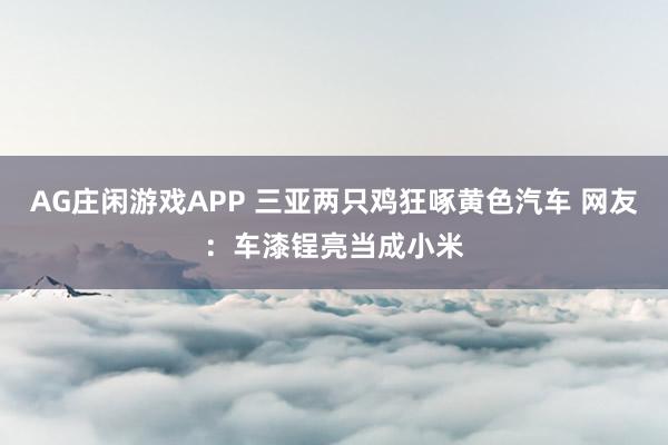 AG庄闲游戏APP 三亚两只鸡狂啄黄色汽车 网友：车漆锃亮当成小米