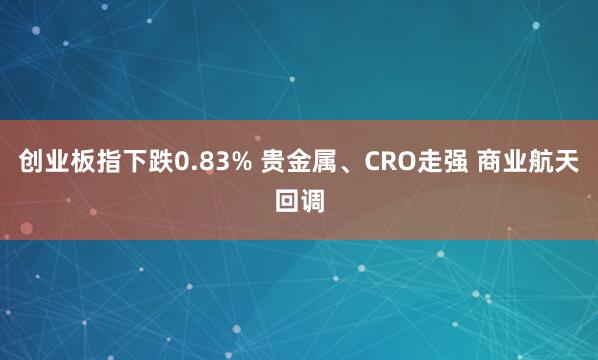 创业板指下跌0.83% 贵金属、CRO走强 商业航天回调