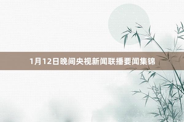1月12日晚间央视新闻联播要闻集锦