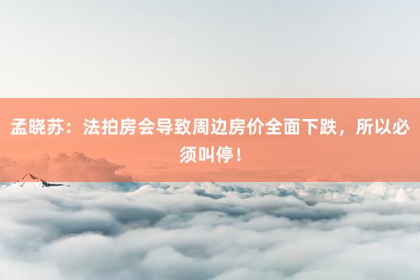 孟晓苏：法拍房会导致周边房价全面下跌，所以必须叫停！