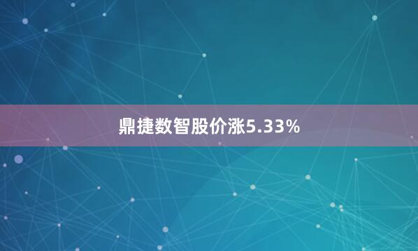 鼎捷数智股价涨5.33%