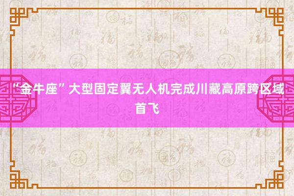 “金牛座”大型固定翼无人机完成川藏高原跨区域首飞