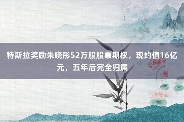 特斯拉奖励朱晓彤52万股股票期权，现约值16亿元，五年后完全归属