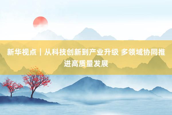 新华视点｜从科技创新到产业升级 多领域协同推进高质量发展