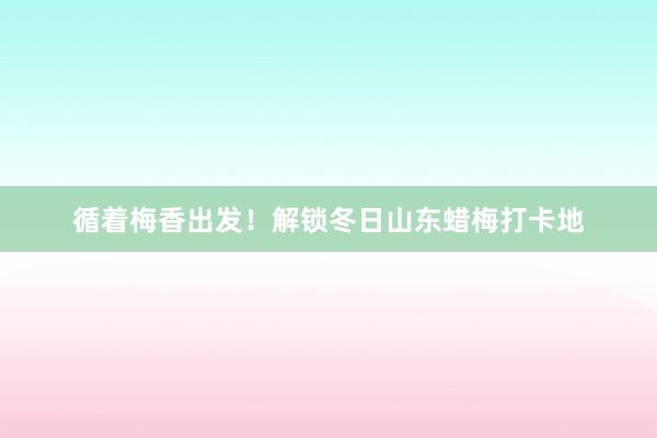 循着梅香出发！解锁冬日山东蜡梅打卡地