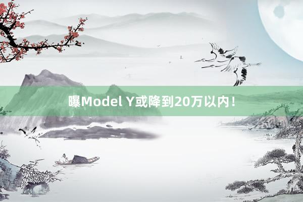 曝Model Y或降到20万以内！