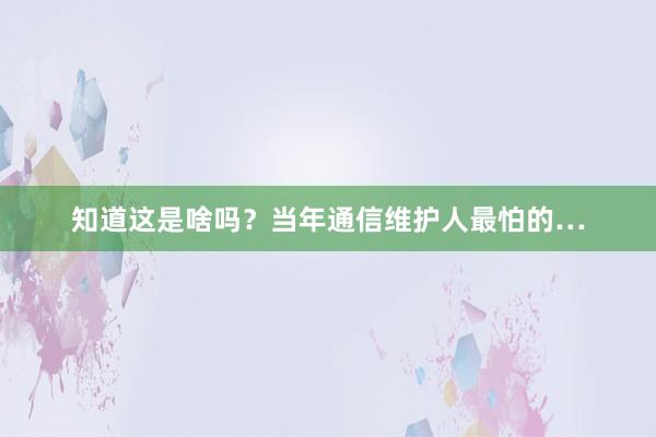 知道这是啥吗？当年通信维护人最怕的…