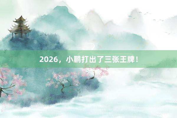 2026，小鹏打出了三张王牌！
