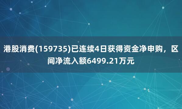港股消费(159735)已连续4日获得资金净申购，区间净流入额6499.21万元