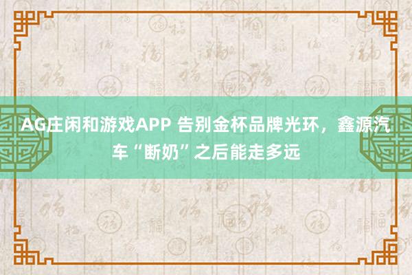 AG庄闲和游戏APP 告别金杯品牌光环，鑫源汽车“断奶”之后能走多远