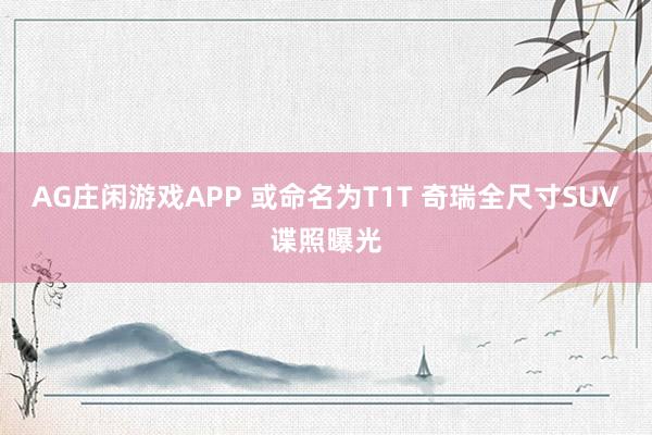 AG庄闲游戏APP 或命名为T1T 奇瑞全尺寸SUV谍照曝光