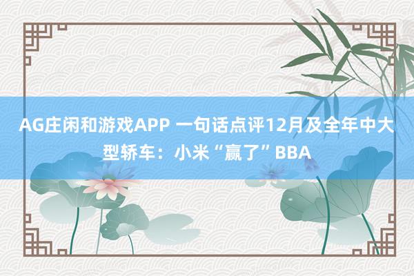 AG庄闲和游戏APP 一句话点评12月及全年中大型轿车：小米“赢了”BBA