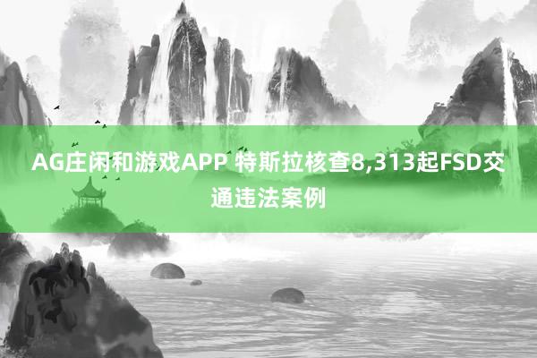 AG庄闲和游戏APP 特斯拉核查8,313起FSD交通违法案例