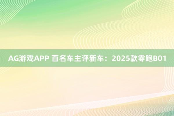 AG游戏APP 百名车主评新车：2025款零跑B01