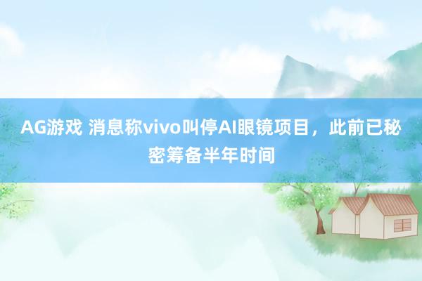 AG游戏 消息称vivo叫停AI眼镜项目,此前已秘密筹备半年时间