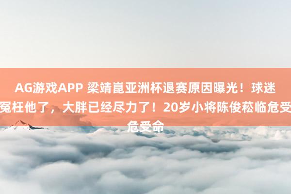 AG游戏APP 梁靖崑亚洲杯退赛原因曝光！球迷都冤枉他了，大胖已经尽力了！20岁小将陈俊菘临危受命