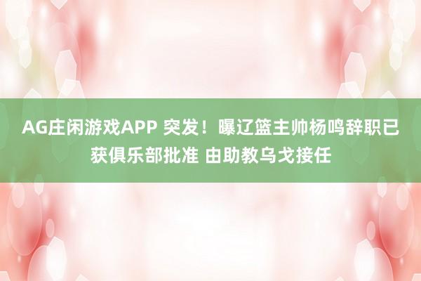 AG庄闲游戏APP 突发！曝辽篮主帅杨鸣辞职已获俱乐部批准 由助教乌戈接任
