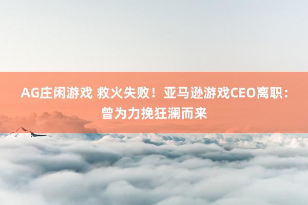 AG庄闲游戏 救火失败!亚马逊游戏CEO离职:曾为力挽狂澜而来