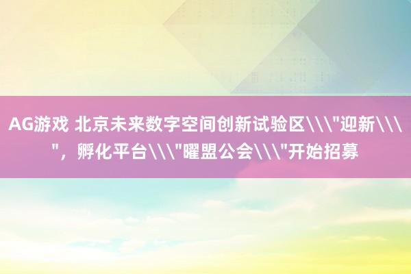 AG游戏 北京未来数字空间创新试验区\